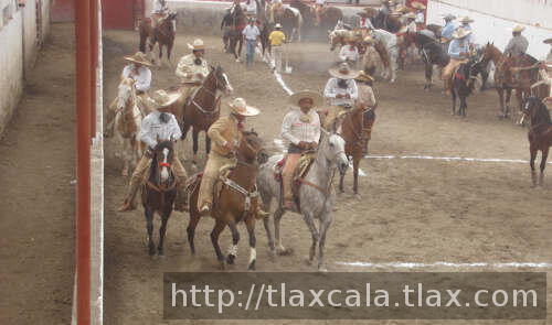 Coleadores de la herradura