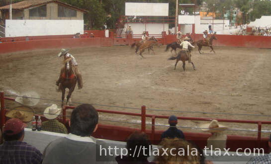 Erasmo Avelar de camperos batallando