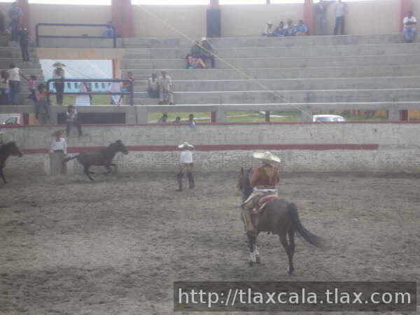 OSCAR LOPEZ COLOCANDO MANGANA