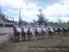 LAS MONARCAS DEL ESTADO DE TLAXCALA 2007