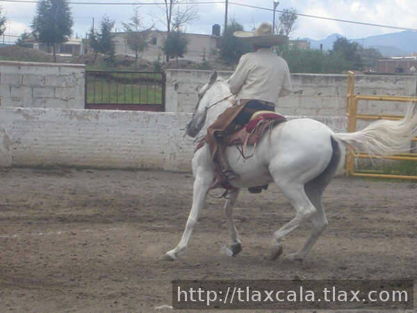 GIROS DE MANUEL LOPEZ