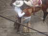 FELICITACION DEL CHARRO VIRTUAL AL FESTEJADO
