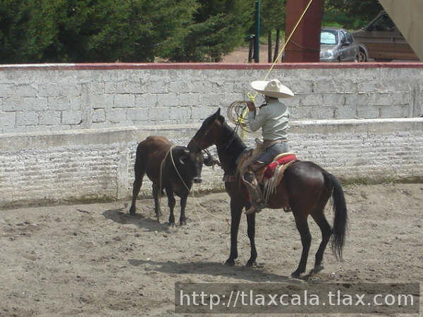 RENE LOPEZ LAZANDO