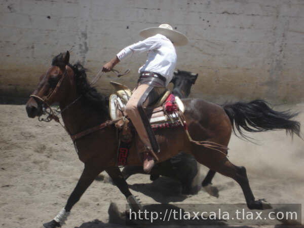 EL CHAPARRO VICTOR MANUEL LOPEZ ESTIRANDO