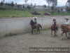 COLEADORES EQUIPO B