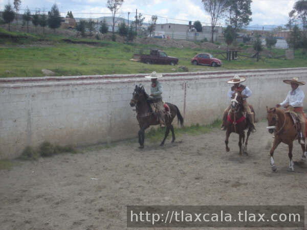 COLEADORES EQUIPO B
