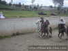 COLEADORES EQUIPO A