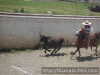 CARLOS GONZALEZ FALLANDO