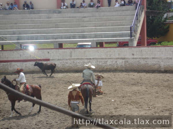 ARTURO GONZALEZ EN EL SUELO DERRIBADO