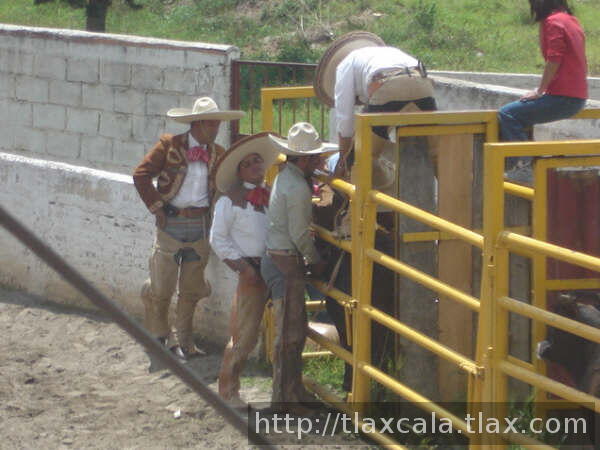 ACCION EN LOS CAJONES