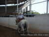 Aventando la pata Adrian Galicia de Tlax