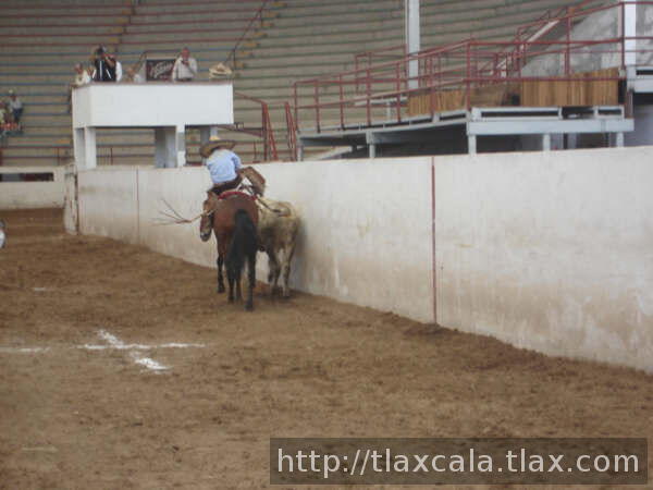 Aventando la pata Alejandro Cruz de Tlax