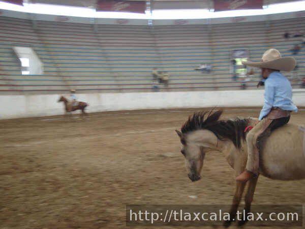 Buenos reparos para Jose Pablo Rodriguez de Tlax