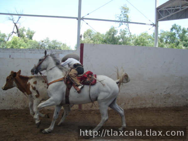 Adrian Galicia Carrasco de Tlax agarrando la cola
