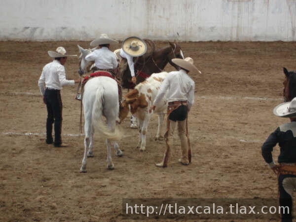 Colocando su pial uriel Montiel de Tlax