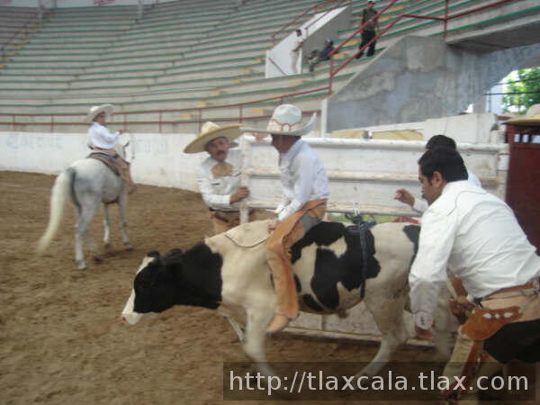 Diego gaona de polo en el toro