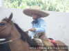 Estirando la cola Jose Pablo Rodriguez de Tlax