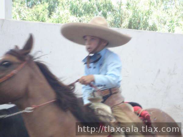 Estirando la cola Jose Pablo Rodriguez de Tlax