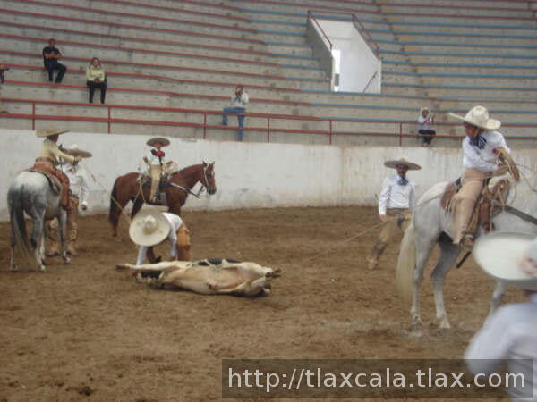 Estirando terna de polo