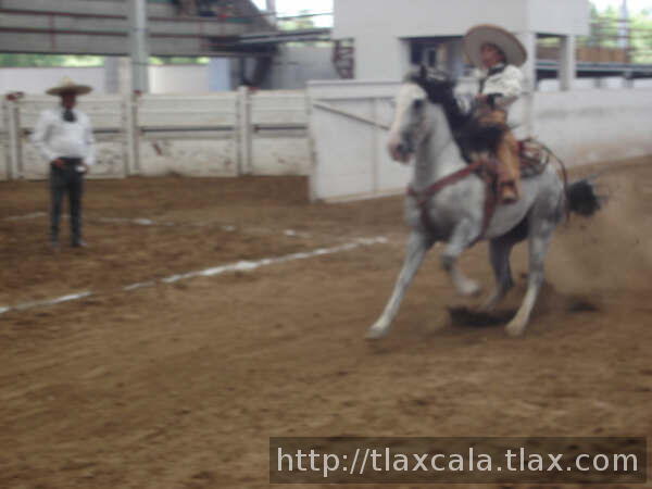 Jose Estrada de Polo parando su cuaco