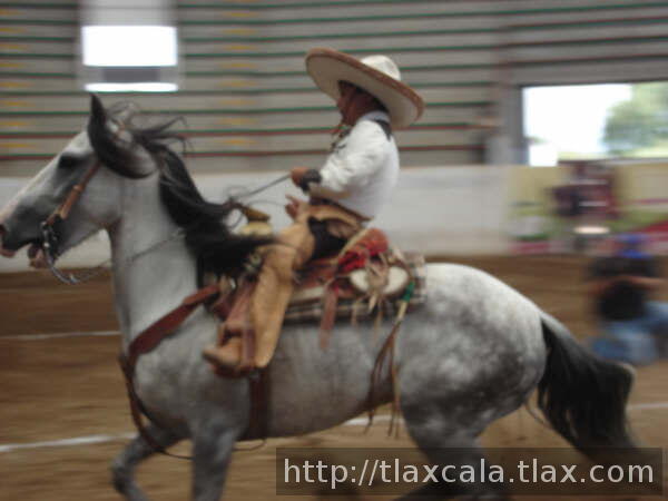 Jose Estrada de polo parando