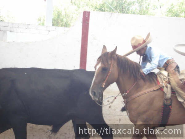 Jose Pablo Rodriguez Asegurando