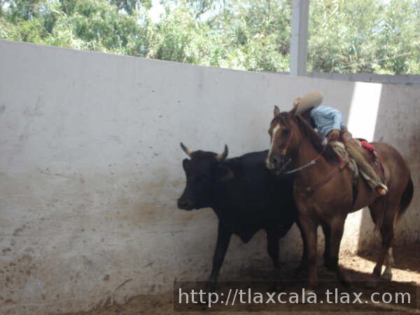 Jose Pablo Rodriguez de Tlax agachandose por la cola