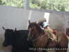 Jose Pablo Rodriguez de Tlax buscando la cola