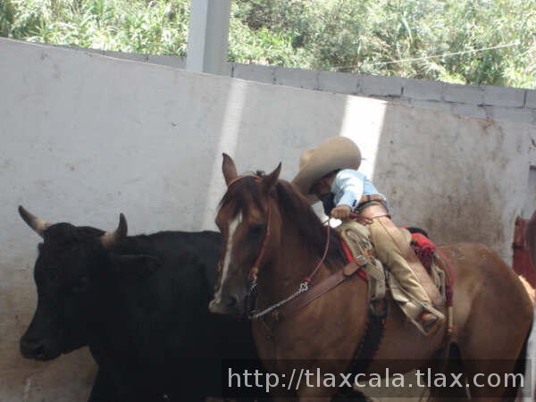 Jose Pablo Rodriguez de Tlax buscando la cola