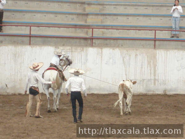 Lazo de cabeza de Adrian galicia de Tlax