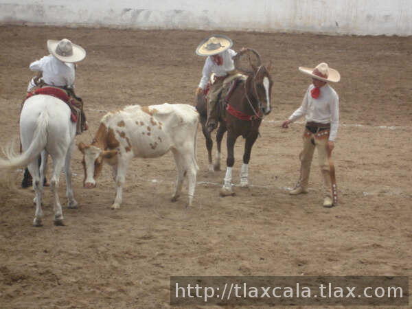 Levantando el pial Uriel Montiel de Tlax