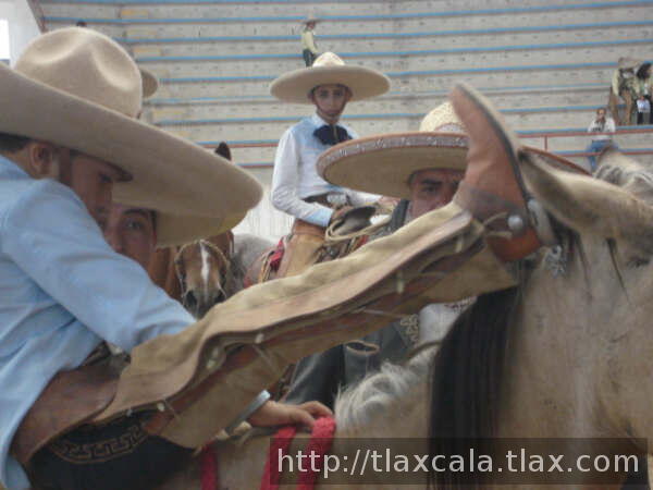 Listo para bajarse Jose Pablo Rodriguez de Tlax