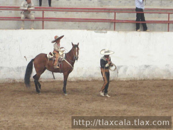 Preparando la reata Oscar Lopez a su vastago