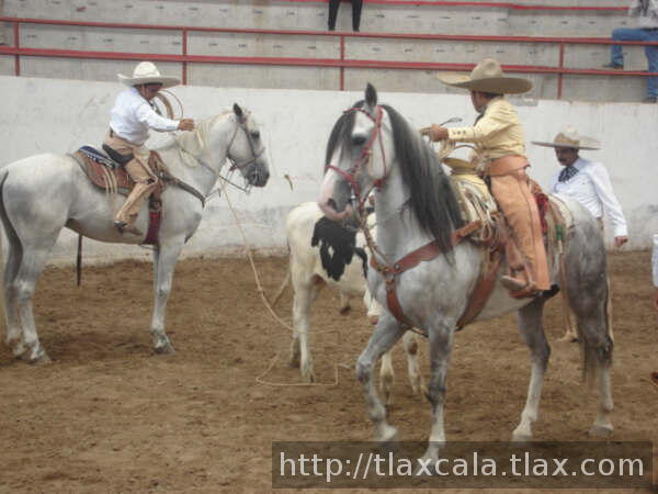 Raul Basurto lazo de cabeza Isaac padilla el pial de ruedo por polo