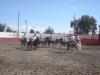 Sincronia y limpieza en la ejecucion de la escaramuza mixta