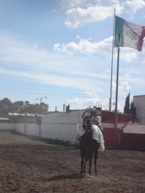 Punta de Alama Laura Sanchez de Rancheras de la Herradura