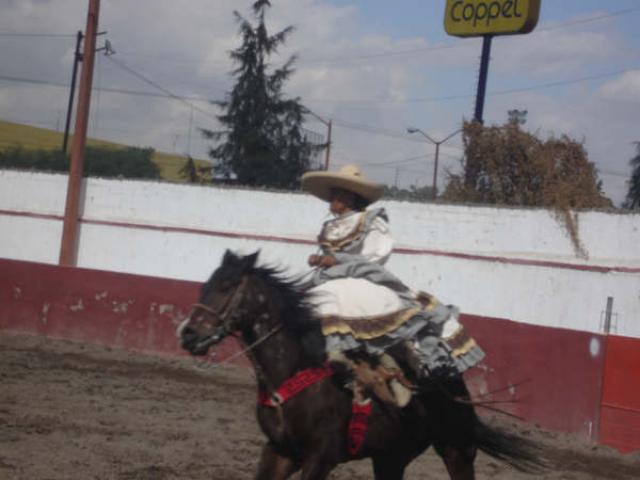 Esperando el cruce