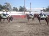 Presentacion Tlaxcallan