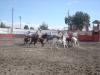 De todo un poco en le escaramuza mixta
