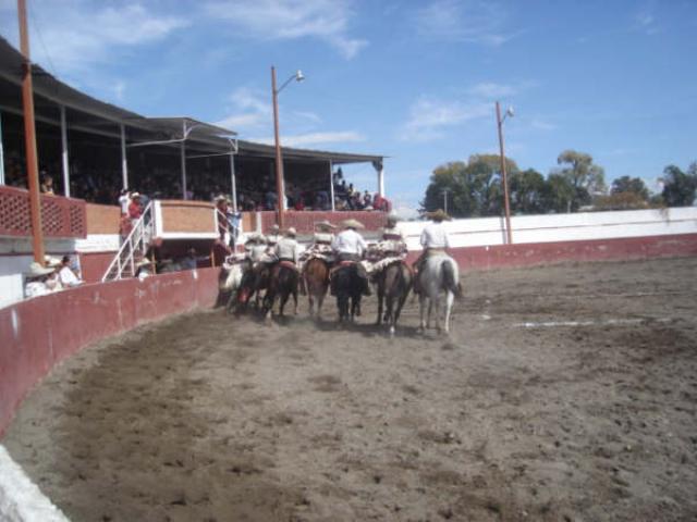 Buen sabor de boca dejo la escramzua mixta
