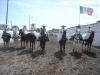 Escaramuza Rancheras de la Herradura