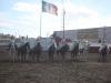 Cual postal te gusta mas