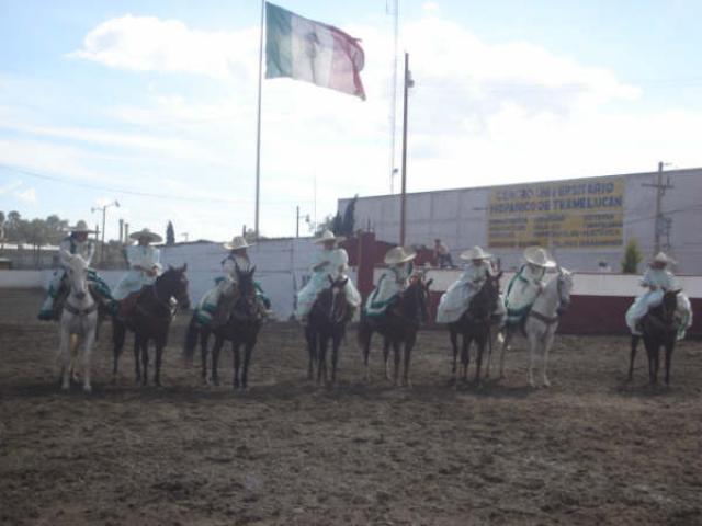Cual postal te gusta mas