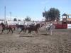 Cruces, peines, coladeras en la escaramuza mixta