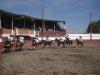 Abanico escaramuza  Guadalupanas de Tecamachalco