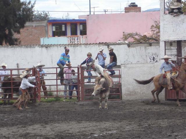 Charreada Feria Tlaxco 2007 - Foto