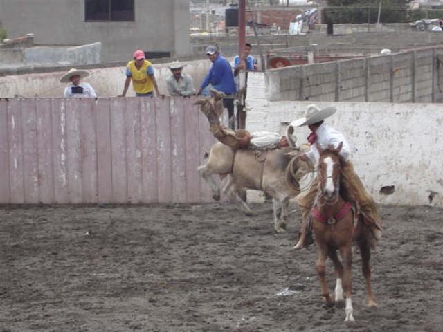 Charreada Feria Tlaxco 2007 - Foto