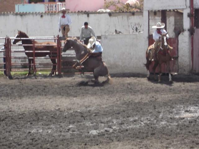 Charreada Feria Tlaxco 2007 - Foto