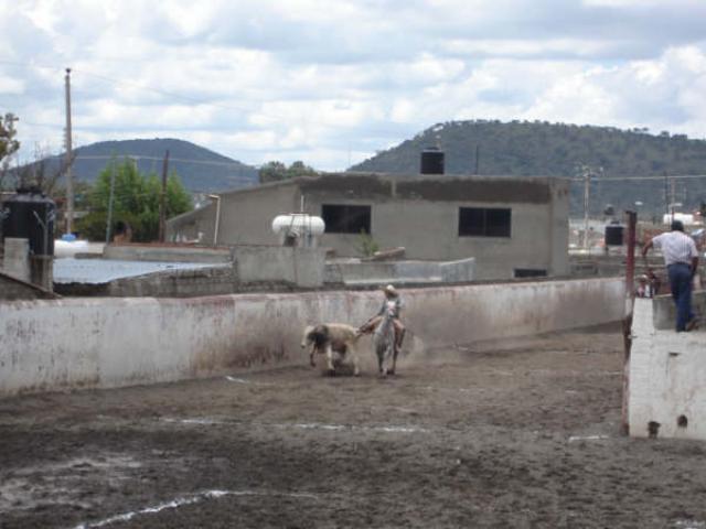 Charreada Feria Tlaxco 2007 - Foto
