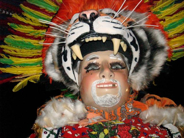 Carnaval San Francisco Tlacuilohcan 2008 - Foto